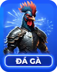 đá gà KK55